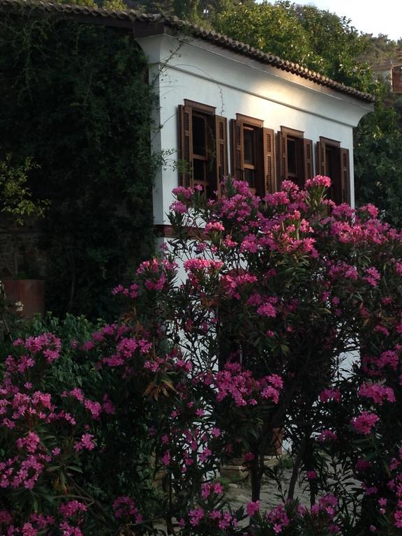 Terrace Houses Sirince Selçuk Eksteriør billede