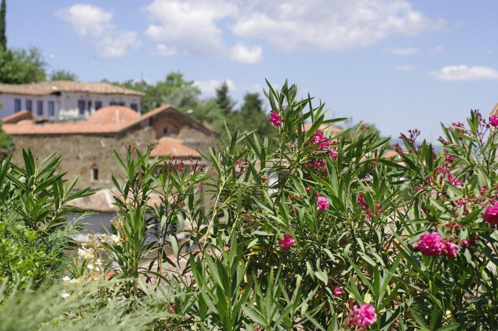 Terrace Houses Sirince Selçuk Værelse billede